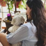Shivshakti Sachdev Instagram - my kinda SUNDAY mornings !! @ielliethemaltese You all know I love pampering myself on Sundays, So I uploaded a new video how you can do that all by yourself at home, go check it out !! Aaj kya kha rahe ho ? #sunday #love #life #thankful #grateful #blessed #sundayfunday #elliethemaltese #mine #love #sundaymornings #plants #planting #like #share #indianyoutuber #youtubeindia #yay