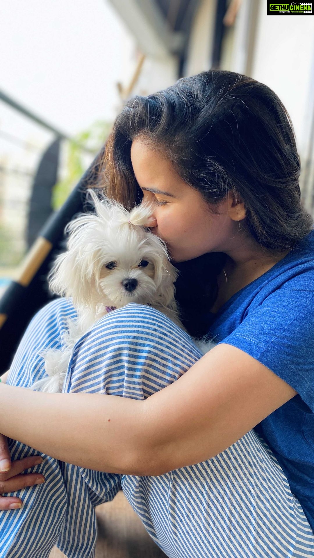 Shivshakti Sachdev Instagram - It's Ellie's Half Birthday Month and we decided to give her the best gift ever. This adorable Tent from @woofroofofficial and @ielliethemaltese is in love with it. #thankful #grateful #blessed #mine #tentcamping #blessing #blessed #dogsofinstagram #doglovers #dogsofinsta #maltese #miniaturemaltese #thankyou #grateful #blessed #malteseloverclub #malteselover #malteselove #malteseworld #malteseoftheday #maltesebaby #maltesebabygirl #maltesereel #dogreel #reelsofinstagram #feelitreelit #maltesereel