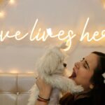 Shivshakti Sachdev Instagram - Happy Half Birthday Meri Jaan @ielliethemaltese She stole my heart and then my bed. Filled our hearts with her paw prints. Thank you for choosing us. #dogsofinstagram #doglovers #dogsofinsta #maltese #miniaturemaltese #thankyou #grateful #blessed #malteseloverclub #malteselover #malteselove #malteseworld #malteseoftheday #maltesebaby #maltesebabygirl #maltesereel #dogreel #reelsofinstagram #feelitreelit #maltesereel #dogsofinstagram