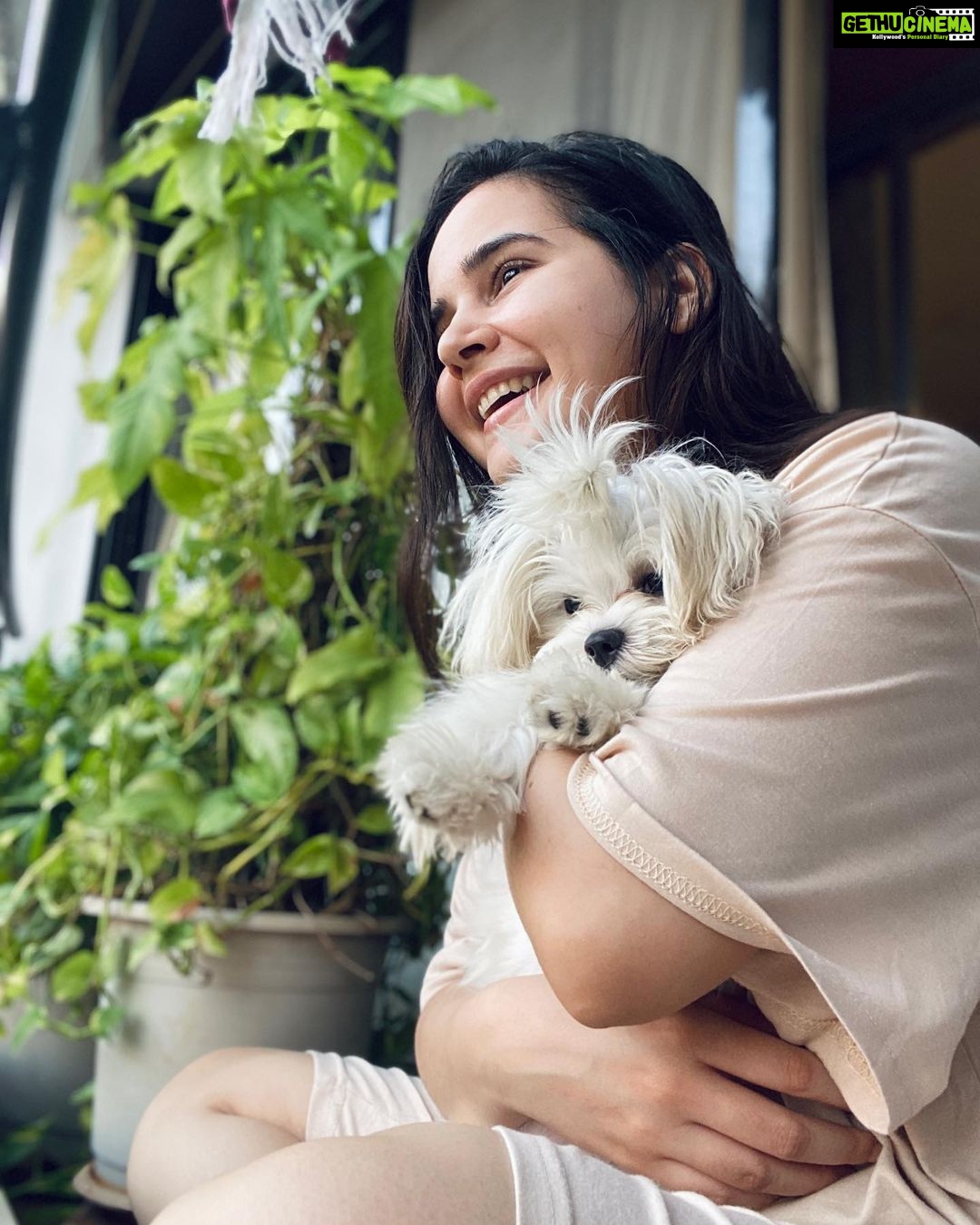 Shivshakti Sachdev Instagram - Me and my Moon @ielliethemaltese chilling in our Balcony Hoping that everything will be fine soon!! #thankful #grateful #blessed #blessing #life #yay #mine #selfpotrait #shootwithmypet #littlebaby #mymoon #dogsfirsttooth #dogsofinstagram #doglovers #dogsofinsta #maltese #miniaturemaltese #thankyou #grateful #blessed #malteseloverclub #malteselover #malteselove #malteseworld #malteseoftheday #maltesebaby #maltesebabygirl