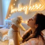 Shivshakti Sachdev Instagram - Darling, Never Grow Up!!! #dogsofinstagram #doglovers #dogsofinsta #maltese #miniaturemaltese #thankyou #grateful #blessed #malteseloverclub #malteselover #malteselove #malteseworld #malteseoftheday #maltesebaby #maltesebabygirl #maltesereel #dogreel #reelsofinstagram #feelitreelit #maltesereel #dogsofinstagram @malteseloverclub @pupspaw @i_love_maltese_ @petfedindia @iamshivshakti @maltese__dogs_ @maltese_puppy_teddy @maltese__dogs_ @minimaltesepuppy @dogsofinstagram @dog.india @dogsloversunity @ohhmydogindia @doglove