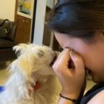 Shivshakti Sachdev Instagram - Unconditional love!!! @ielliethemaltese I am so grateful to have you baby girl. #dogsofinstagram #doglovers #dogsofinsta #maltese #miniaturemaltese #thankyou #grateful #blessed #malteseloverclub #malteselover #malteselove #malteseworld #malteseoftheday #maltesebaby #maltesebabygirl #maltesereel #dogreel #reelsofinstagram #feelitreelit #maltesereel #dogsofinstagram