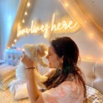 Shivshakti Sachdev Instagram - Love Lives Here!!! Mornings with Ellie 🐶 @ielliethemaltese Thank you @neonattack_in for giving my room a perfect makeover. I love the Vibe! Wanna see an updated Room tour? Comment Down! #nofilter #roomtour #maltese #malteseindia #thankful #loveliveshere #neonlights #neonlightsindia #mine #smile #cuddles #mornings #morningcuddles #thankful #grateful #blessed #indianyoutuber #youtubeindia #life #instagram #trending #instragramfashion #instagrammaltese #malteseforlife