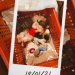 Shivshakti Sachdev Instagram - Couldn't stop myself from posting this! Yes this Teddy Bear is Mine🧿 @ielliethemaltese #myteddybear #malteseindia #maltese #malteseindia #maltesepuppy #malteseofinstagram #maltese #mymaltese #love #life #thankful #grateful #blessed #blessing #🧿
