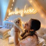 Shivshakti Sachdev Instagram - Love Lives Here!!! Mornings with Ellie 🐶 @ielliethemaltese Thank you @neonattack_in for giving my room a perfect makeover. I love the Vibe! Wanna see an updated Room tour? Comment Down! #nofilter #roomtour #maltese #malteseindia #thankful #loveliveshere #neonlights #neonlightsindia #mine #smile #cuddles #mornings #morningcuddles #thankful #grateful #blessed #indianyoutuber #youtubeindia #life #instagram #trending #instragramfashion #instagrammaltese #malteseforlife