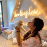 Shivshakti Sachdev Instagram - Love Lives Here!!! Mornings with Ellie 🐶 @ielliethemaltese Thank you @neonattack_in for giving my room a perfect makeover. I love the Vibe! Wanna see an updated Room tour? Comment Down! #nofilter #roomtour #maltese #malteseindia #thankful #loveliveshere #neonlights #neonlightsindia #mine #smile #cuddles #mornings #morningcuddles #thankful #grateful #blessed #indianyoutuber #youtubeindia #life #instagram #trending #instragramfashion #instagrammaltese #malteseforlife