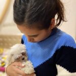 Shivshakti Sachdev Instagram - •6th Jan 2021 Welcome my little sister ELLIE , She came home last night and since then our hearts are filled with Love and Joy🧿 She is a Miniature Maltese and just two months old who is spending all her time napping and playing all over the house. These are her first pictures and wanted to upload it as a memory. This day would mean everything to us. Give her all your best wishes and love in abundance. 🧿🧿🧿 I can't thank you enough @iamsachdev @sachdev_sunita for giving us ELLIE !!! Congratulations your 4th child is here and Finally @meshobhasachdev You are a big sister now ( not little anymore ) She can't wait to see her eldest sister @akriti_1990 and her Jijju @achetansharma also her elder Brother @anish.suri.1 , Bhabhi @world_with_my_shade_card, Divit and her pyaaaari Dadi @iamsushmasuri Thank you Laila @medhashankar and Uncle for making this happen. I love you baby. #maltese #maltesepuppy #malteseofindia #malteseofinstagram #littlebaby #littlesister #babysister #family #love #life #grateful #blessed #mine #blessing #adaytoremember
