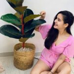 Shivshakti Sachdev Instagram - This morning I decided to have conversation with my fake plant🤣 I am super excited for November It brings a lot of birthdays and festivals. I know this year everything is going to be so different but then I am grateful to time and God for been so kind and that's all we want. Weekend is here ! What plans everyone? #love #plant #talkingtoaplant #like #happiness #blessed #instagram #instadaily #instagood #thankful #grateful #pink #fashion #indianyoutuber #pinkonpink #justlikethat #pictutes #novembercomingsoon #life #excited #godbekind #timebekind #happiness #thankful #grateful