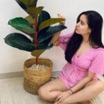 Shivshakti Sachdev Instagram - This morning I decided to have conversation with my fake plant🤣 I am super excited for November It brings a lot of birthdays and festivals. I know this year everything is going to be so different but then I am grateful to time and God for been so kind and that's all we want. Weekend is here ! What plans everyone? #love #plant #talkingtoaplant #like #happiness #blessed #instagram #instadaily #instagood #thankful #grateful #pink #fashion #indianyoutuber #pinkonpink #justlikethat #pictutes #novembercomingsoon #life #excited #godbekind #timebekind #happiness #thankful #grateful
