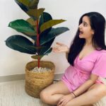 Shivshakti Sachdev Instagram - This morning I decided to have conversation with my fake plant🤣 I am super excited for November It brings a lot of birthdays and festivals. I know this year everything is going to be so different but then I am grateful to time and God for been so kind and that's all we want. Weekend is here ! What plans everyone? #love #plant #talkingtoaplant #like #happiness #blessed #instagram #instadaily #instagood #thankful #grateful #pink #fashion #indianyoutuber #pinkonpink #justlikethat #pictutes #novembercomingsoon #life #excited #godbekind #timebekind #happiness #thankful #grateful