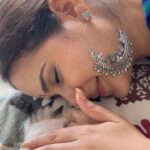 Shivshakti Sachdev Instagram - Morning Cuddles🧿 #love #maltesepuppies #malteseofig #maltesedogs
