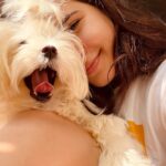 Shivshakti Sachdev Instagram - Mornings with my little one is full of kisses and cuddles! #mornings #maltese #love #life #blessing #morningtime #cuddles #just #happydays #happytimes #petparents #morningslikethese #yay #happylove #yay #feelitreelit #feelkaroreelkaro
