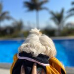 Shivshakti Sachdev Instagram - All I do is THINK ABOUT YOU! 1. Sunset 2. Sunrise 3. POOL time 4. Cozy Indoors 5. Outdoor Hi-Tea 6. Ellie's VIEW 7. Rejuvenated feels! TAP on the screen to know OUTFIT details ! #staycation #stay #happydays #happytimes #just #blessed #blessing #mine #yay #happiness #sunsets #sunrise #sunsetlovers #sun #vacation #staycation #staylove #yay #happydays