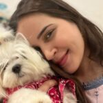 Shivshakti Sachdev Instagram - Meet my Malla !!! #malla #instagram #feelitreelit #feelkaroreelkaro #thankful #grateful #blessed #blessing #like #share #just #mine #yay #maltese #maltesepuppy #malteselovers #malteseofficial