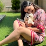 Shivshakti Sachdev Instagram - My forever little baby @ielliethemaltese #maltese #maltesegirl #maltesepuppy #malteseofinstagram #instagram #feelitreelit #feelkaroreelkaro #thankful #grateful #blessed #mine #yay #instagramreels #reels #littleone