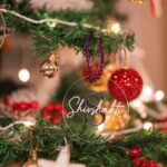 Shivshakti Sachdev Instagram - Merry Christmas !! Christmas is full of miracles and YOU'RE ONE ! Thank you God and Time for being so KIND and showering your blessings throughout the year. I am Grateful!! #grateful #blessed #mine #blessing #thankyougod #thankyou #december #decemberdaily #decemberlove #christmasdecor #christmastree #christmastime #christmas2021