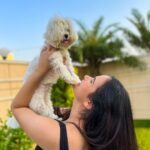 Shivshakti Sachdev Instagram - Happy 1st Birthday My Little One ! @ielliethemaltese . You are my most favourite blessing. Can't thank you enough for choosing us. PS : last picture is so adorable! #firstbirthday #happybirthday #maltese #maltesepuppy #malteseofinstagram #love #thankful #grateful #birthday #unconditionallove #thankyougod #littleone #mybaby #merijaan #yay