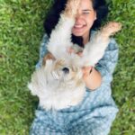 Shivshakti Sachdev Instagram - Sukoon !! #maltesedog #maltesepuppy #love #life #blessed #blessing #mine #yay #thankful #grateful #blessed #mine #lonavala #trip #justmine #vacay #familytime #weekendvibes