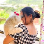 Shivshakti Sachdev Instagram - We need some more Pet-Friendly properties in India. Pets are our family and when we got Ellie home , we decided to take her everywhere we can. I am glad we are able to find such places for Ellie and trust me they need some time out to run and to be without leash, where they can freely roam. Will keep sharing about such properties time to time so that it can help you guys. Location @la_petite_maison_lonavala #thankful #grateful #blessed #blessing #like #share #petfriendly #petstagram #petfriendlyvilla #petfluencer #like #share #instagram #maltese #thankful #travelwithyourpet #travel #familytime #yay