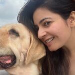 Shonali Nagrani Instagram - I am so so so grateful…… thank you :) #reels #reelsinstagram #reelsvideo #reelpets #petsofinstagram #pets #dogsofinstagram #labsofinstagram #love #boat #petsonaboat #reelitfeelit