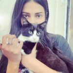 Shruti Haasan Instagram - Made a new friend today 🐈‍⬛ wish I could take her home but Clara will not approve 😅 Corfu, Kerkira, Greece