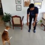 Shruti Ramachandran Instagram - Workout with @befitwithjinishp , Neema shows us how. #fitness #fitnessmotivation #dogsofinstagram #dogworkout #training