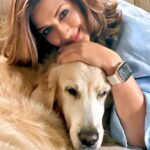 Sonali Bendre Instagram - She will do anything for walks, treats, eggs… and Mom’s attention!! #LilMissIcy #LoveHerTheMost ❤️