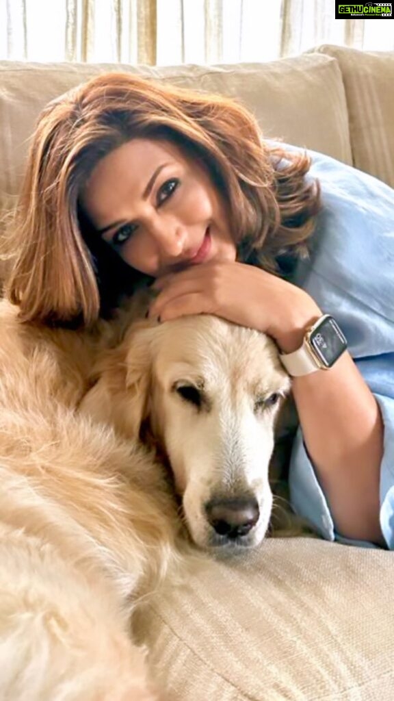 Sonali Bendre Instagram - She will do anything for walks, treats, eggs… and Mom’s attention!! #LilMissIcy #LoveHerTheMost ❤️