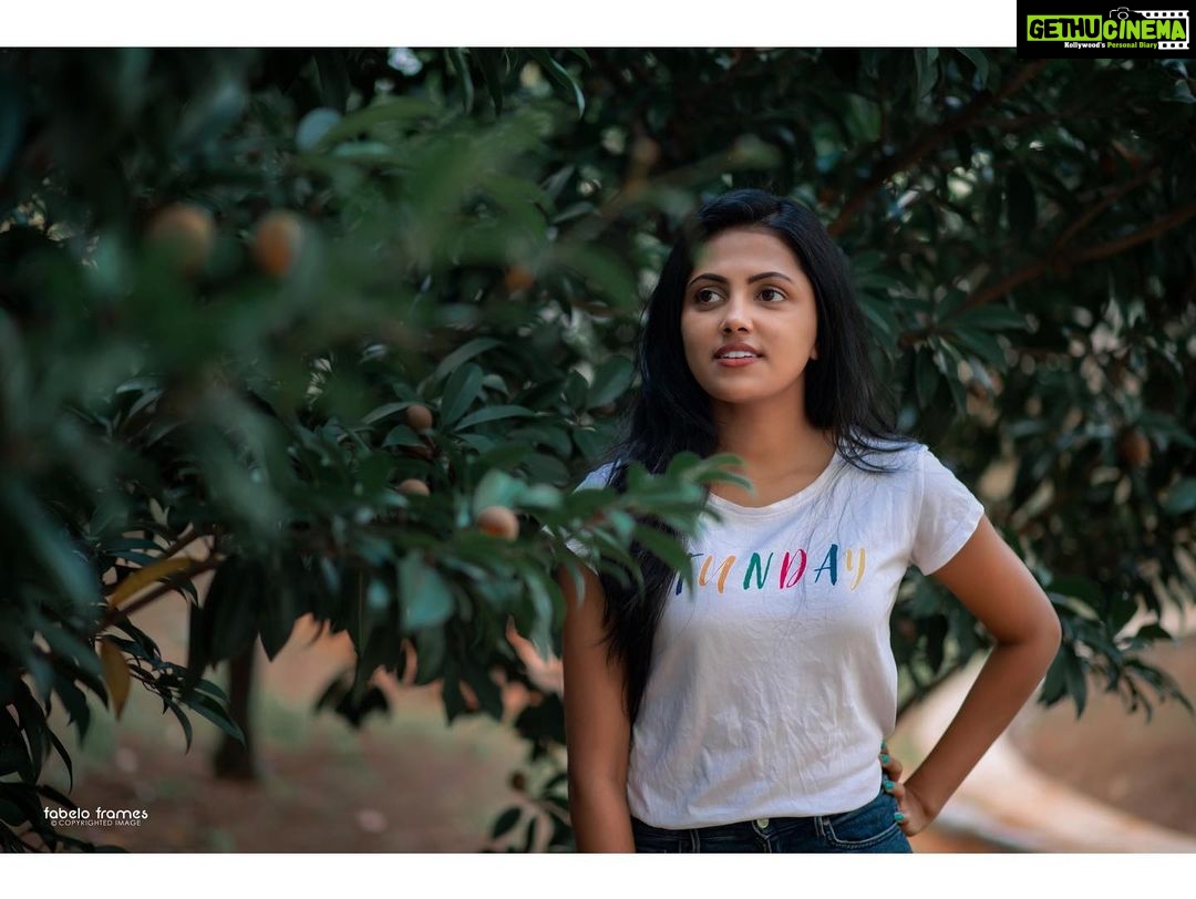 Sreevidya Nair Instagram - 📷 @rejeesh_varghese