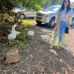 Srushti Dange Instagram – The chick and the ducks 🐦

#reel #reels #reelsinstagram #reelsvideo #reelkarofeelkaro #srushtidange #reelsindia #reelvideo #reelinstagram #reelitfeelit #reelsviral #reelsinsta #reeloftheday