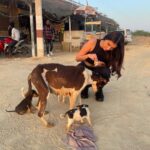Tara Sutaria Instagram - Found a litter of tiny pups and a mother who hadn’t eaten in a while.. Heart breaking.. We fed them and gave them love and I urge you to do the same if you ever see an animal that needs care! I received great affection in return in the form of little licks and tiny barks! 🥹🤍 Jaisalmer