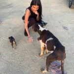 Tara Sutaria Instagram - Found a litter of tiny pups and a mother who hadn’t eaten in a while.. Heart breaking.. We fed them and gave them love and I urge you to do the same if you ever see an animal that needs care! I received great affection in return in the form of little licks and tiny barks! 🥹🤍 Jaisalmer