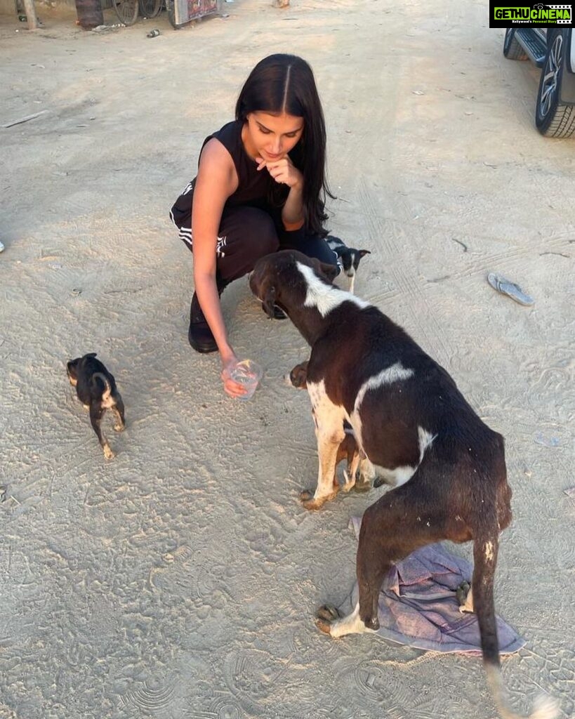 Tara Sutaria Instagram - Found a litter of tiny pups and a mother who hadn’t eaten in a while.. Heart breaking.. We fed them and gave them love and I urge you to do the same if you ever see an animal that needs care! I received great affection in return in the form of little licks and tiny barks! 🥹🤍 Jaisalmer
