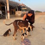 Tara Sutaria Instagram - Found a litter of tiny pups and a mother who hadn’t eaten in a while.. Heart breaking.. We fed them and gave them love and I urge you to do the same if you ever see an animal that needs care! I received great affection in return in the form of little licks and tiny barks! 🥹🤍 Jaisalmer