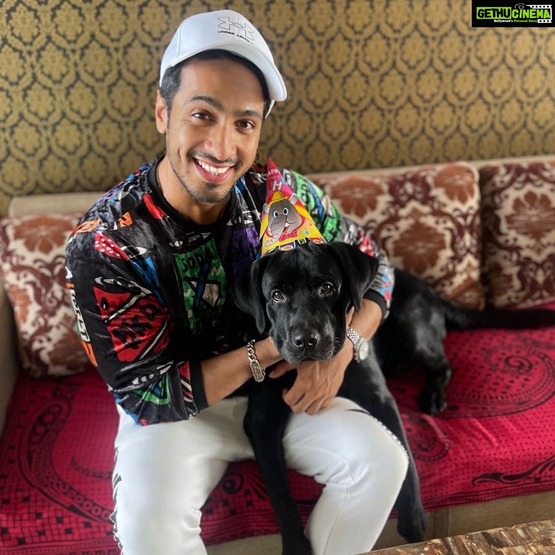 Thakur Anoop Singh Instagram - Today also happens to be my little baby Shadows First Birthday in this world!!!! Had to make it special for my boy with his fav gluten free chocolate brownie cake!!! Check out the last video to know how difficult it is to get pictures with him 😄