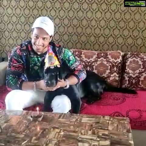 Thakur Anoop Singh Instagram - Today also happens to be my little baby Shadows First Birthday in this world!!!! Had to make it special for my boy with his fav gluten free chocolate brownie cake!!! Check out the last video to know how difficult it is to get pictures with him 😄