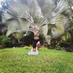 Tina Desai Instagram – Happy International Yoga Day!!
Attempted the revolved split-legged headstand (Parivrttaikapada) in this one. 
Bludy tough to do a split in the air!
#underthemajestictree #yogainthepark #internationalyogaday