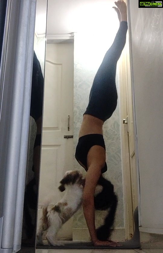 Tina Desai Instagram - My handstand took longer than normal to happen coz Thor just refused to let me practice!