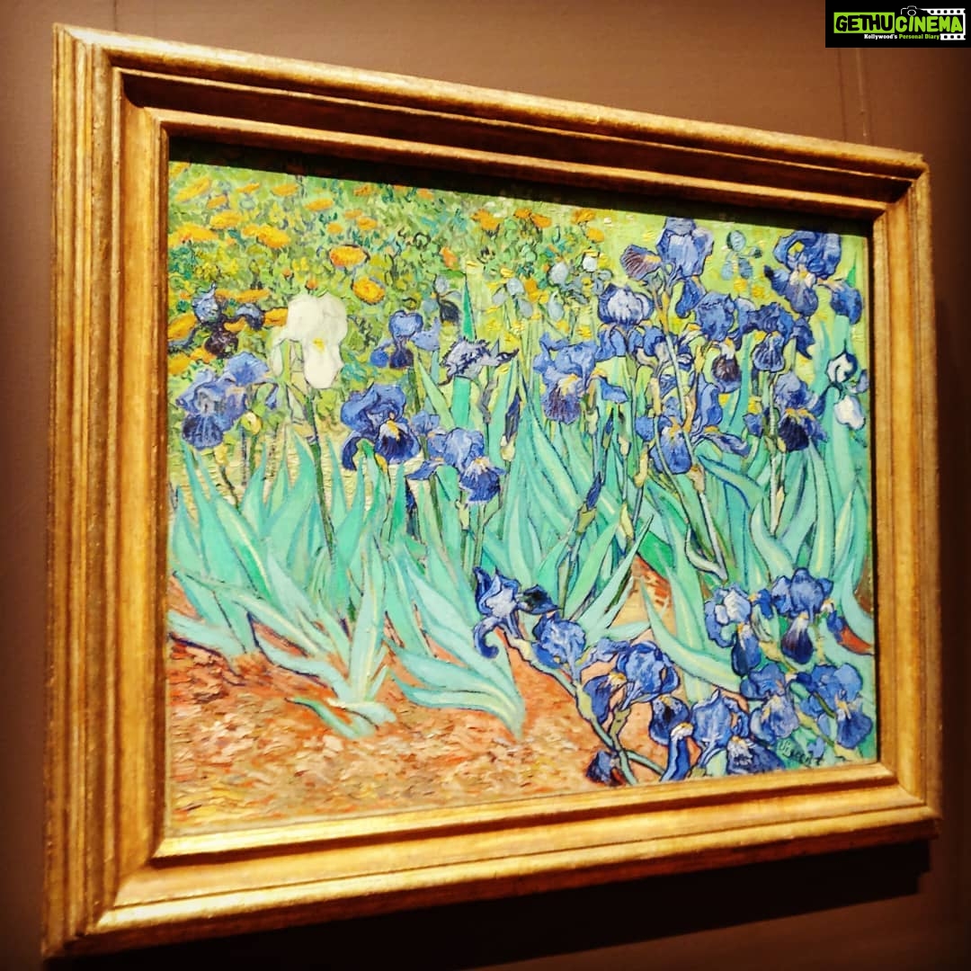 Tina Desai Instagram - The real thing: Irises by Van Gogh. #gettymuseum ❤️