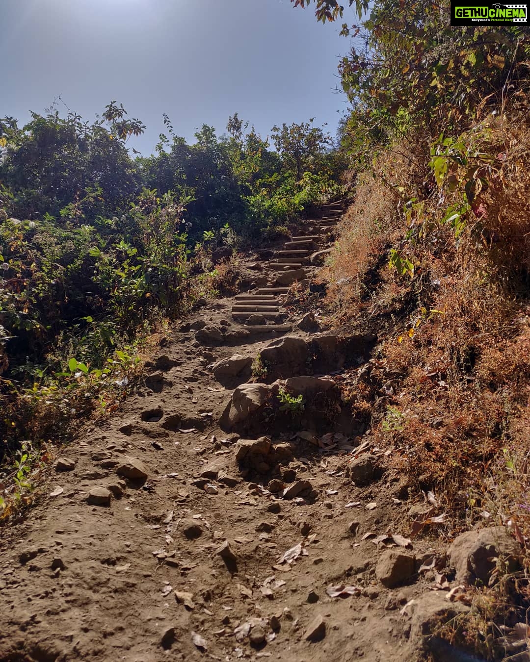 Tina Desai Instagram - Followed by a trek up to #tikonafort the next morning. First one ever in India. Yay!!!