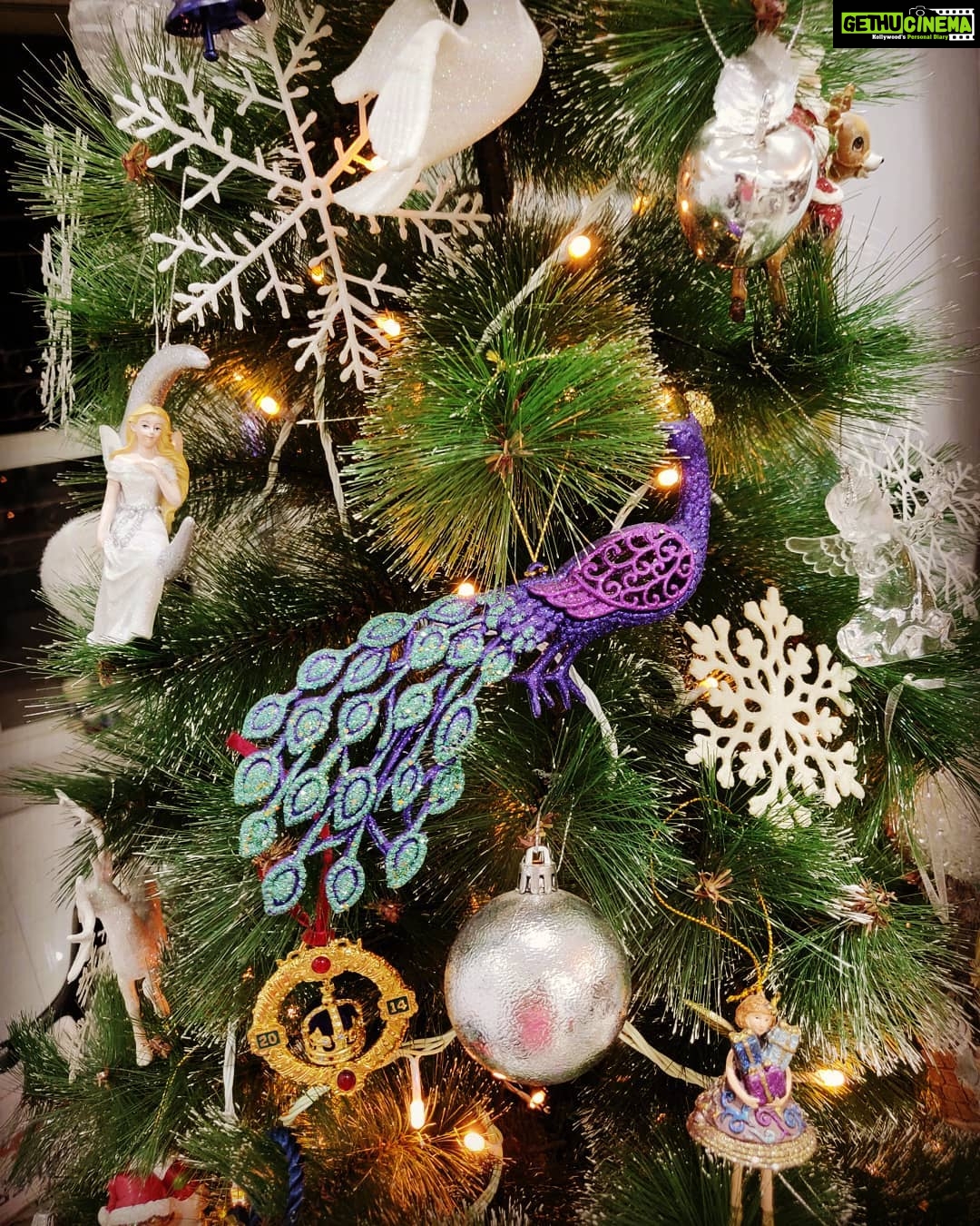 Tina Desai Instagram - The tree is up!!! #christmas2018