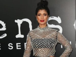 Tina Desai Instagram - ❤️❤️❤️❤️❤️ #Sense8 #finale #netflix #redcarpet #premiere #losangeles
Makeup: @brandyallen Hair: @tymwallacehair Outfit: @perniaspopupshop @sanyajain 
Thanks team! I loved the look!!!