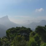 Tina Desai Instagram - For my first hike up a mountain, I chose a Brazilian rainforest. Possibly the best place to start? #tijuca #rainforest #mountainhike #southamerica #firsthike #foreveronvacation