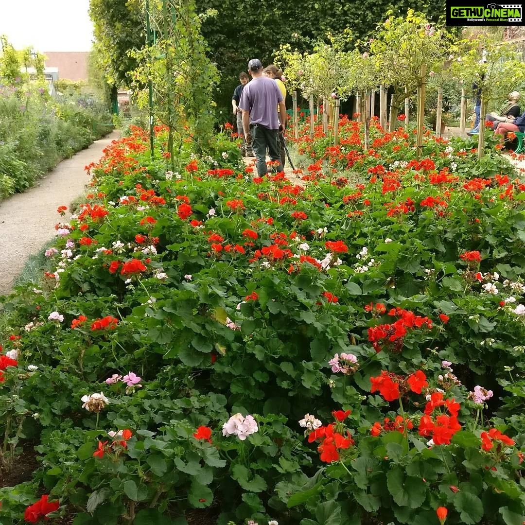 Tina Desai Instagram - Monet's house, Giverny, Normandy