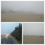 Tina Desai Instagram - I've never been to a foggy beach before! It's just too funny for me!!