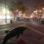 Tina Desai Instagram – Heavy fog in LA tnit. :)