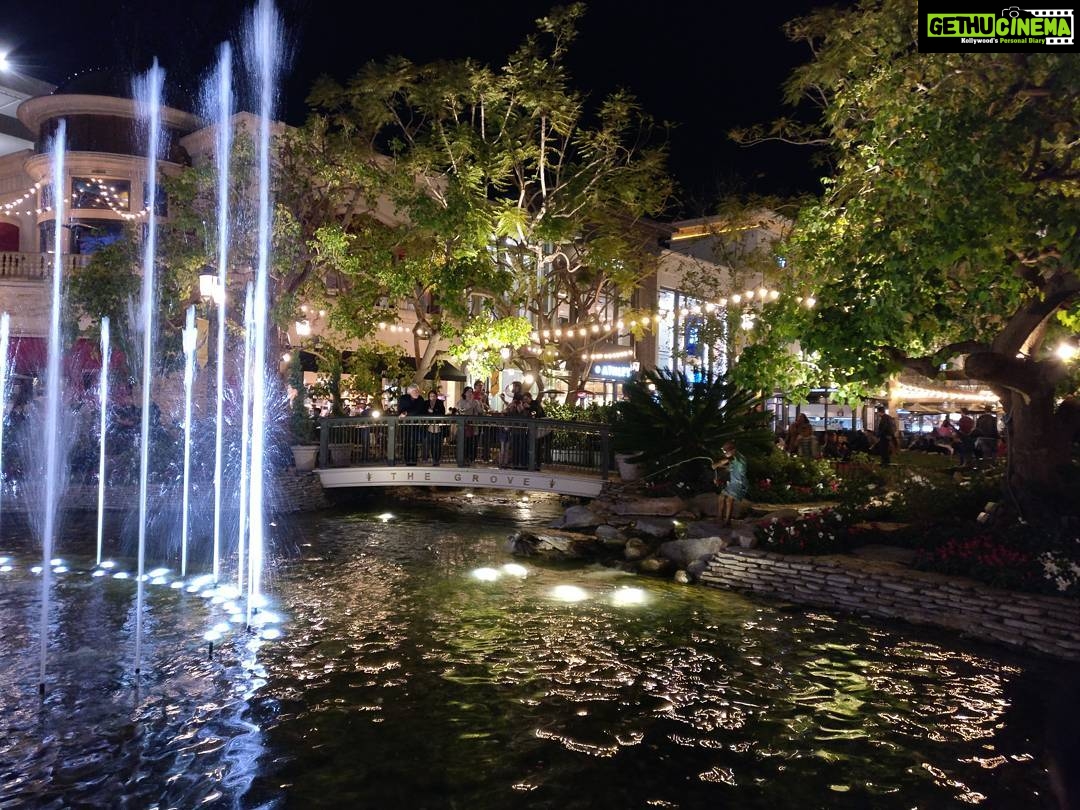 Tina Desai Instagram - It's always so pretty in LA :)