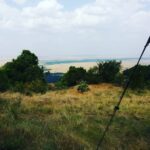 Tina Desai Instagram - #roomwithaview #masaimara #kilimacamp