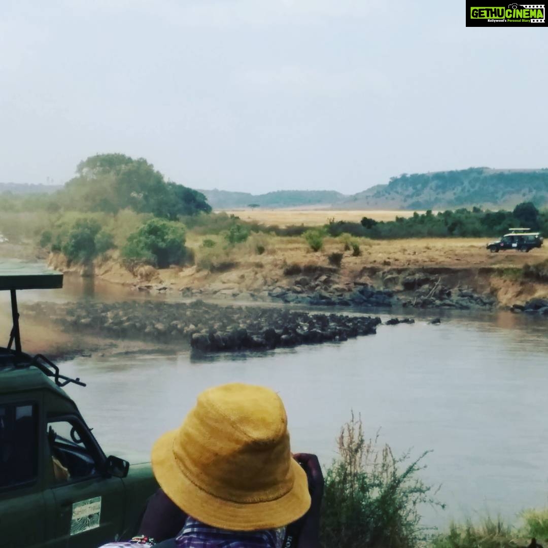 Tina Desai Instagram - The #greatmigration of #wilderbeests- a hunt, a struggle, a sight!!!!