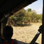 Tina Desai Instagram - Hanging out with the Masai and lions #masaimara